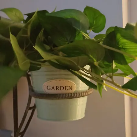 Apartament Sunset View Szybenik